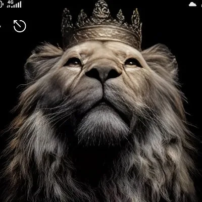 صورة علي حسام تفاحه