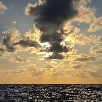 صورة محمد خير بلال