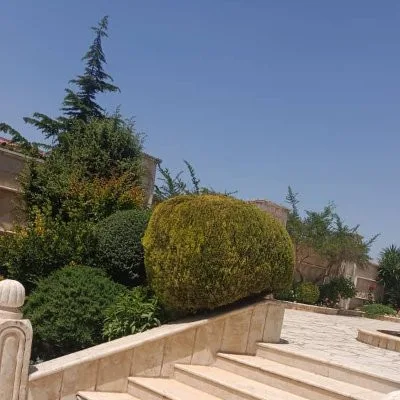 صورة احمد العبيد الحربه