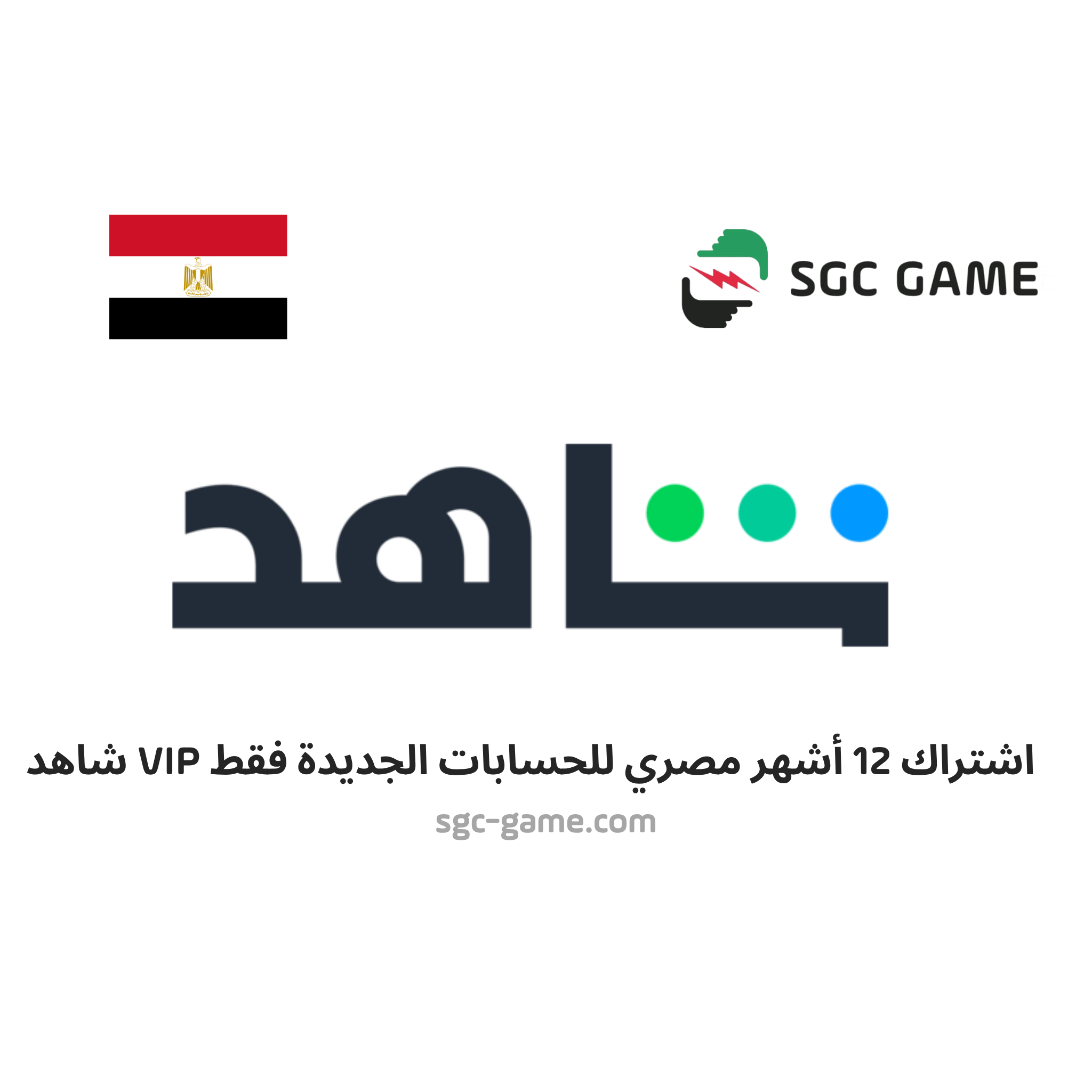 اشتراك 12 شهر مصر حساب جديد فقط