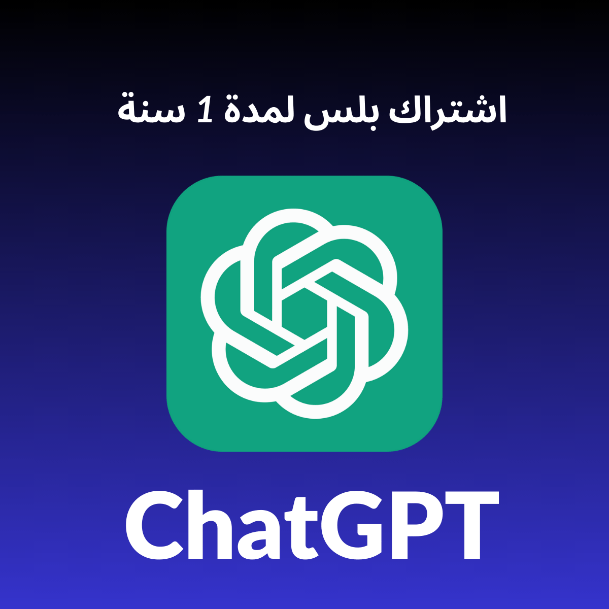 ChatGPT 1 Year Private