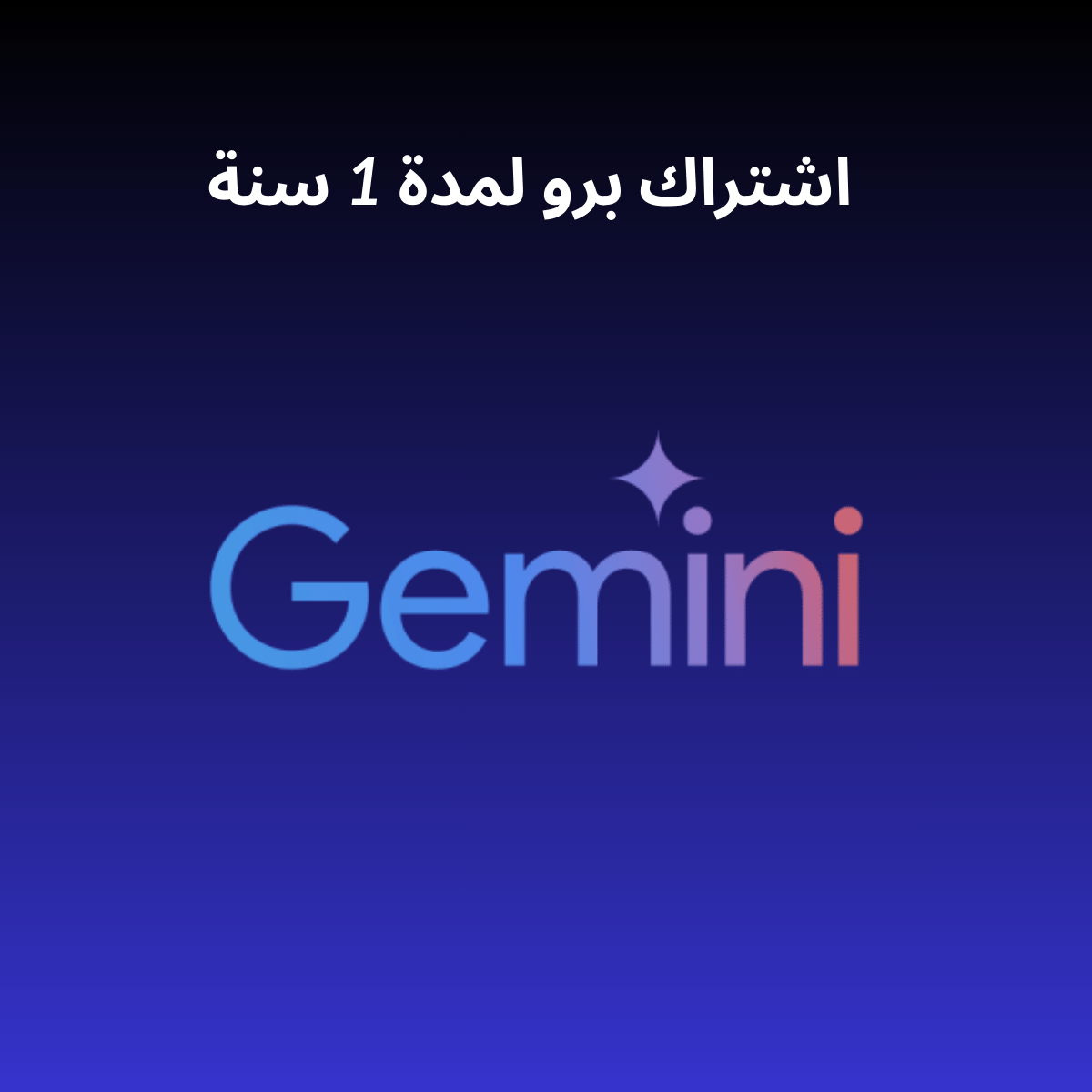 Gemini AI 1 Year Private