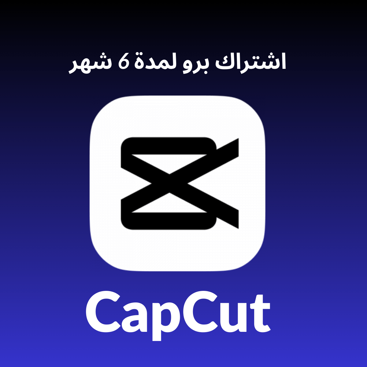 CapCut Pro 6 Month Private