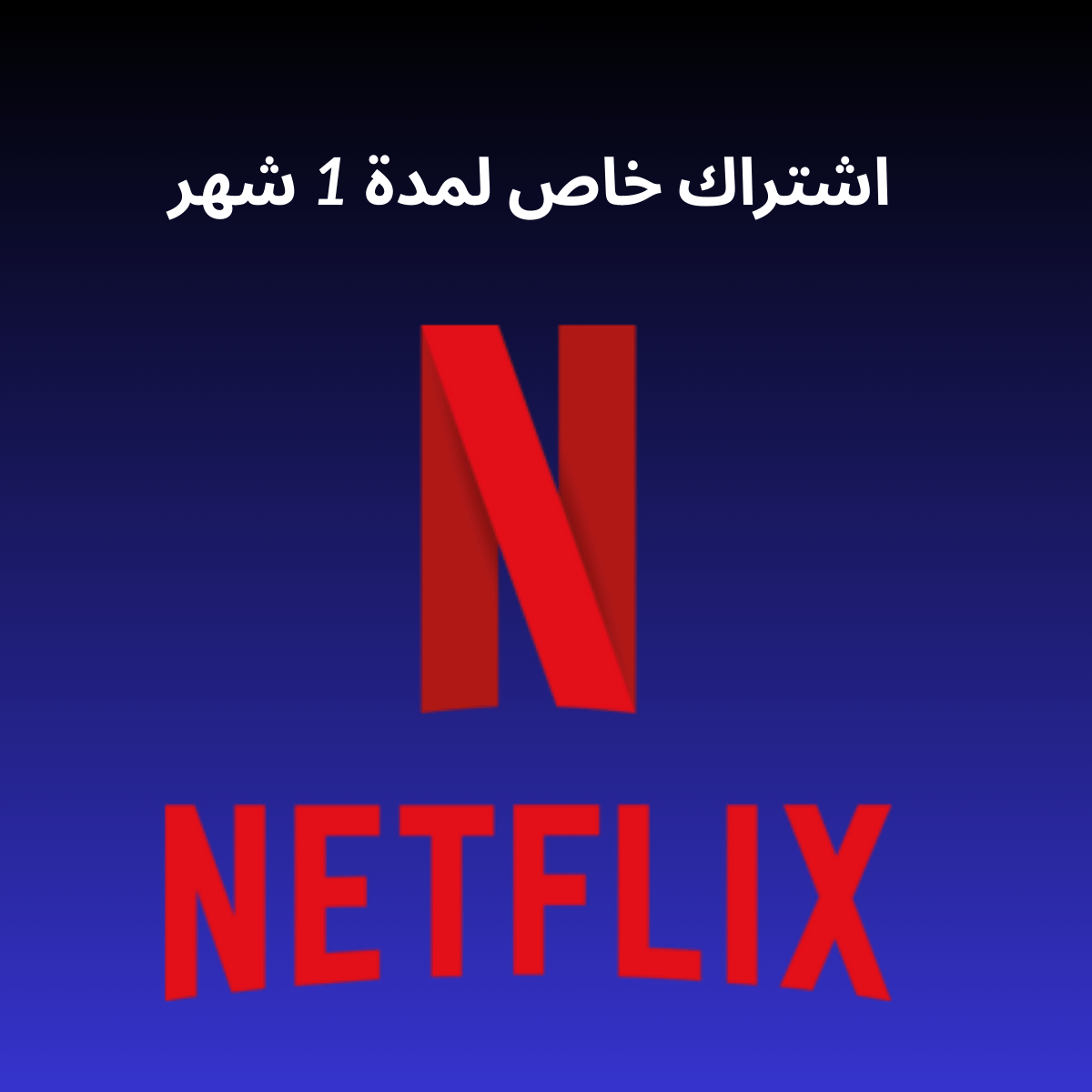 Netflix 1 Month Private