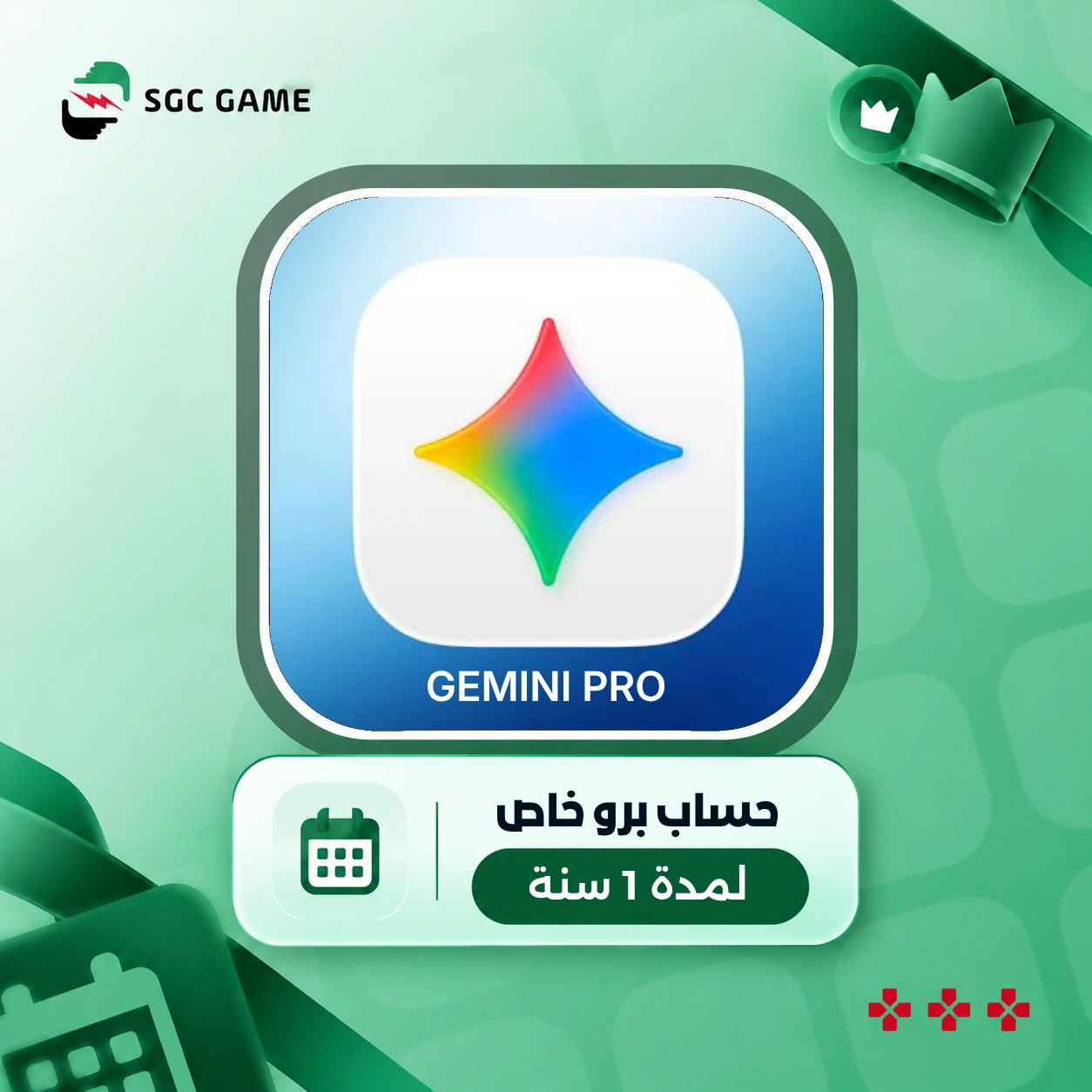 Gemini AI 1 Year Private