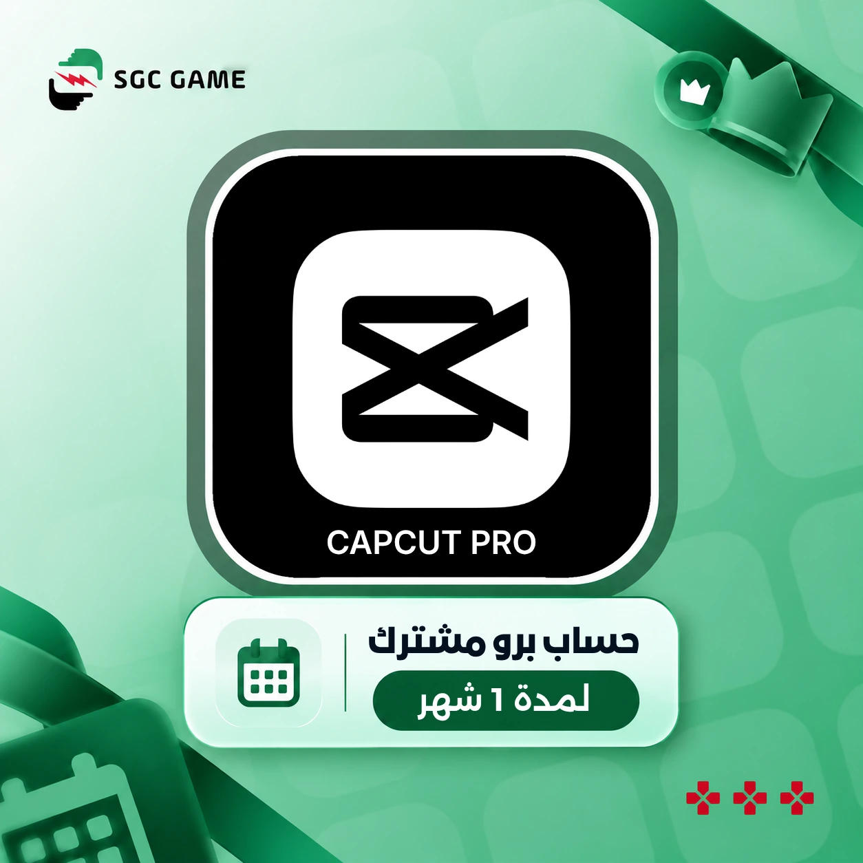 CapCut Pro 1 Month Private